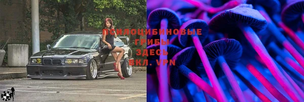 кокаин премиум Ельня