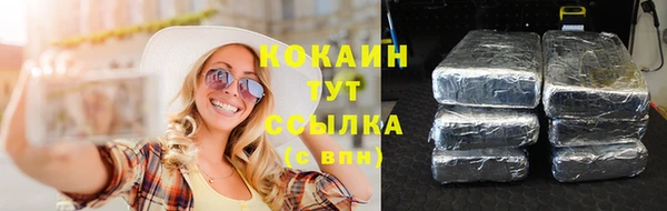 хмурый Заводоуковск