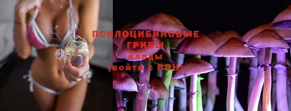 хмурый Заводоуковск