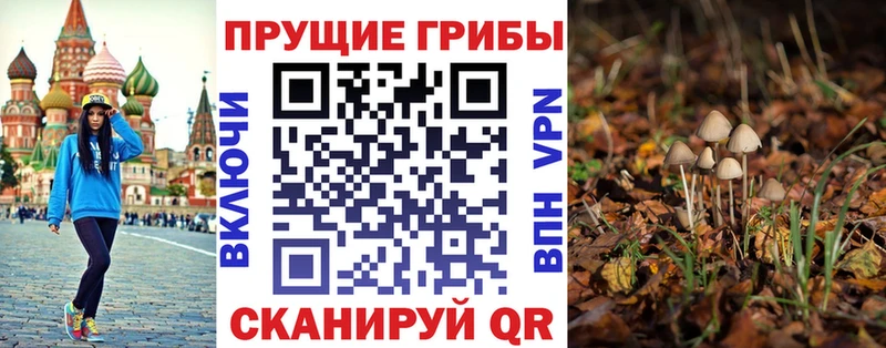 Псилоцибиновые грибы Cubensis  Пятигорск 