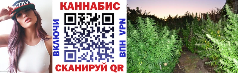 Шишки марихуана ГИДРОПОН MEGA ссылка Пятигорск закладка